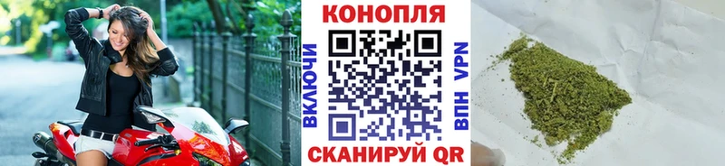 МАРИХУАНА индика  Купить закладки  Новоржев 